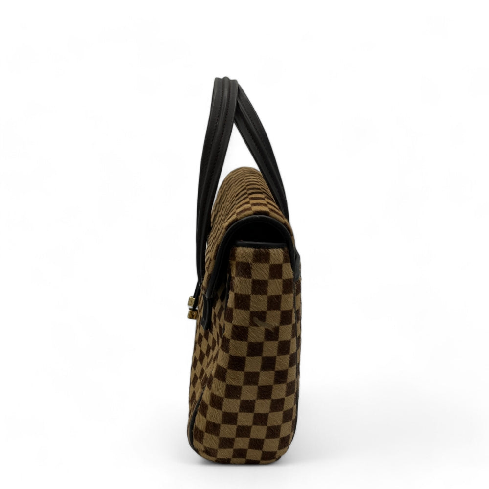 Louis Vuitton handbag Damier Sauvage Lionne brown