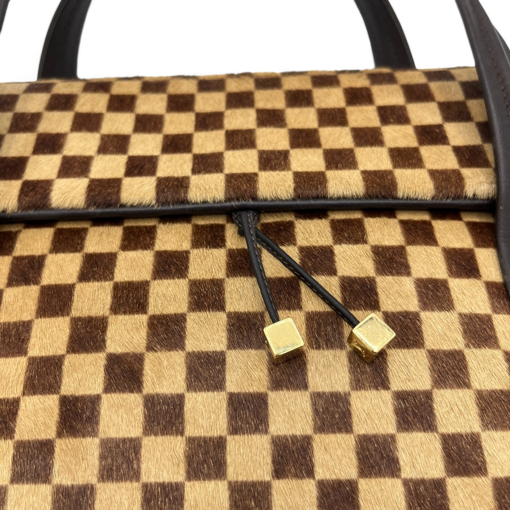 Louis Vuitton handbag Damier Sauvage Lionne brown