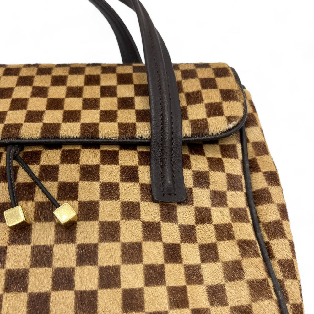 Louis Vuitton handbag Damier Sauvage Lionne brown